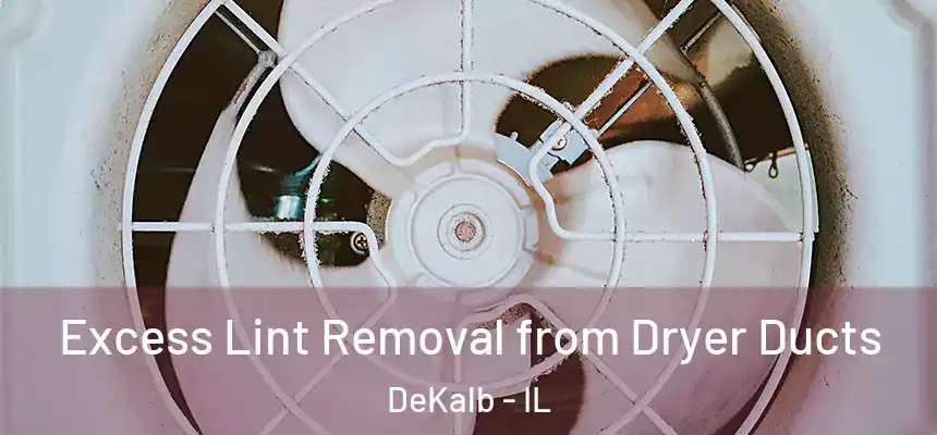  Excess Lint Removal from Dryer Ducts DeKalb - IL