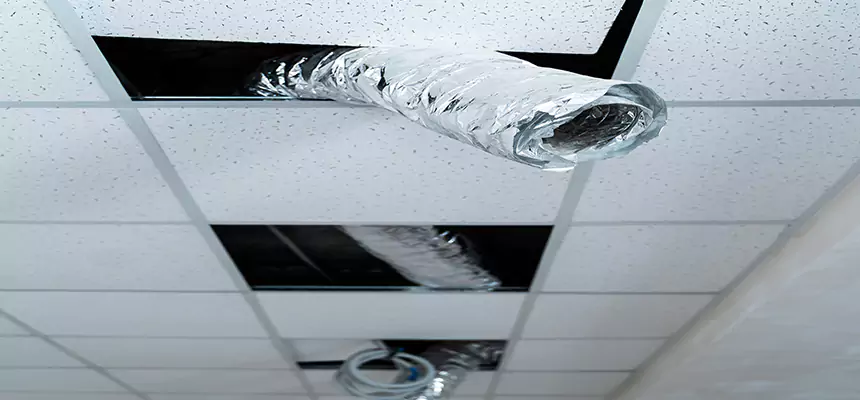 Affordable HVAC Sanitizing After Pest Removal in DeKalb