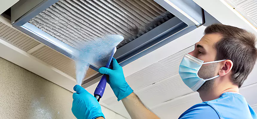 Proactive Dryer Vent & Auxiliary Duct Pollen Cleanup in DeKalb, IL