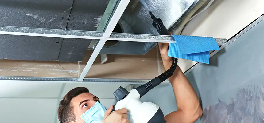 Our Air Duct Rodent Removal Services in DeKalb, IL