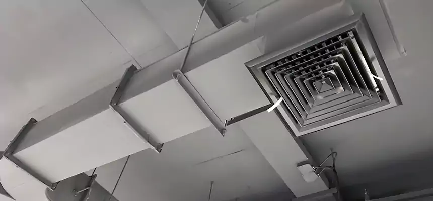 Restorative Allergy Relief Vent Cleaning – Coil, Blower & Housing Detail in DeKalb