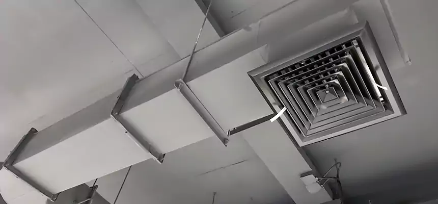 Our Pest Removal From Ducts Services in DeKalb, IL