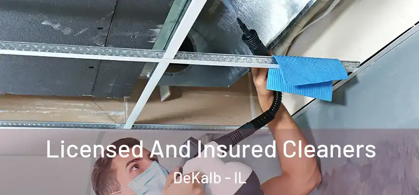  Licensed And Insured Cleaners DeKalb - IL