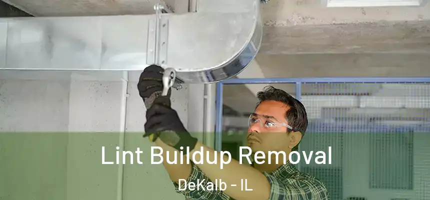  Lint Buildup Removal DeKalb - IL