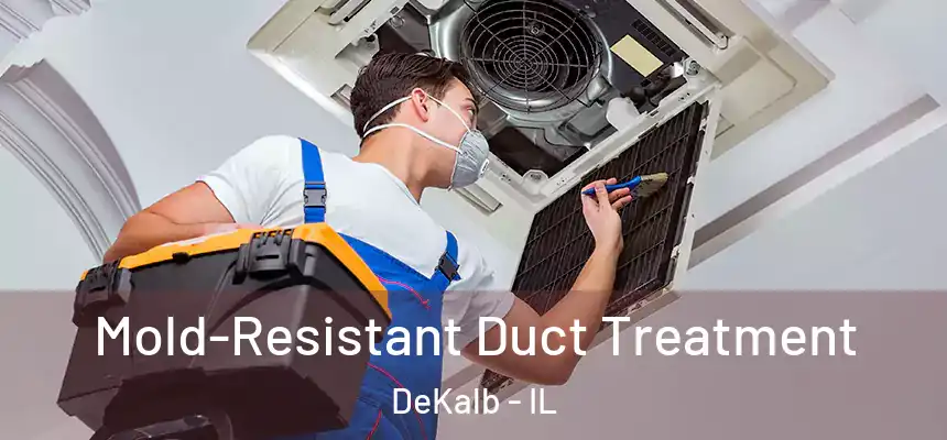  Mold-Resistant Duct Treatment DeKalb - IL