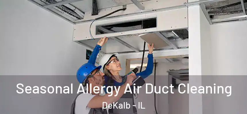  Seasonal Allergy Air Duct Cleaning DeKalb - IL