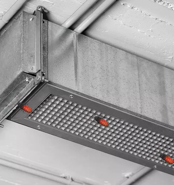 About Air Duct Cockroach Removal in DeKalb, IL