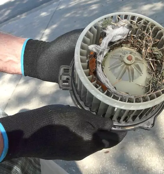 About Air Duct Mice Removal in DeKalb, IL