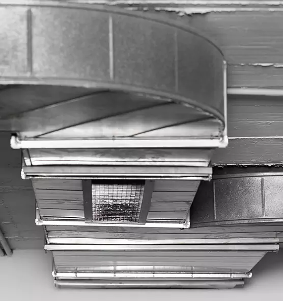 Professional Air Duct Pest Removal in DeKalb, IL