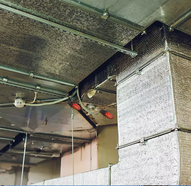 Why Homeowners & Businesses Trust Us in DeKalb, IL?